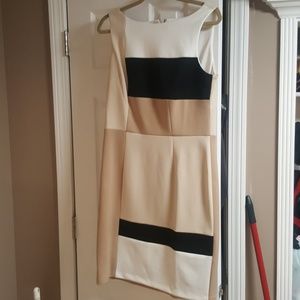 Dress nwt